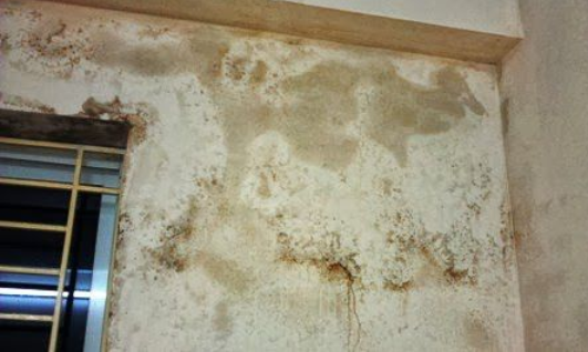 dich-vu-son-chong-tham-tuong-nha-chuyen-nghiep-tai-ha-noi