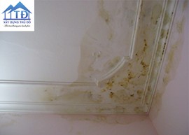 Phong Thủy Nhà Ở Cần Phải Biết