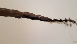 Xử lý các vết nứt trên tường trước khi sơn như thế nào?